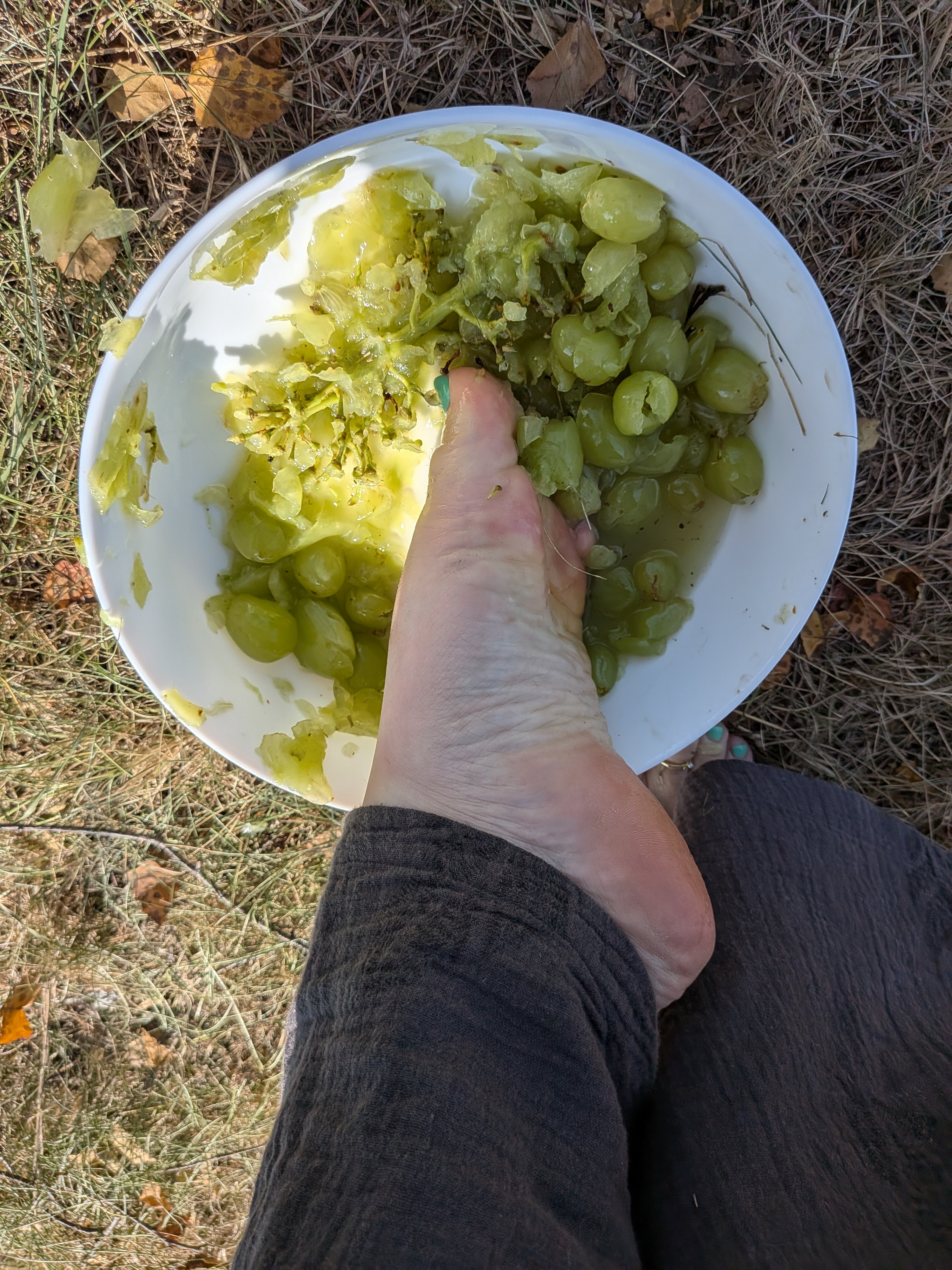 Trauben Saft aus hellen Trauben . Selbst hergestellt - 5