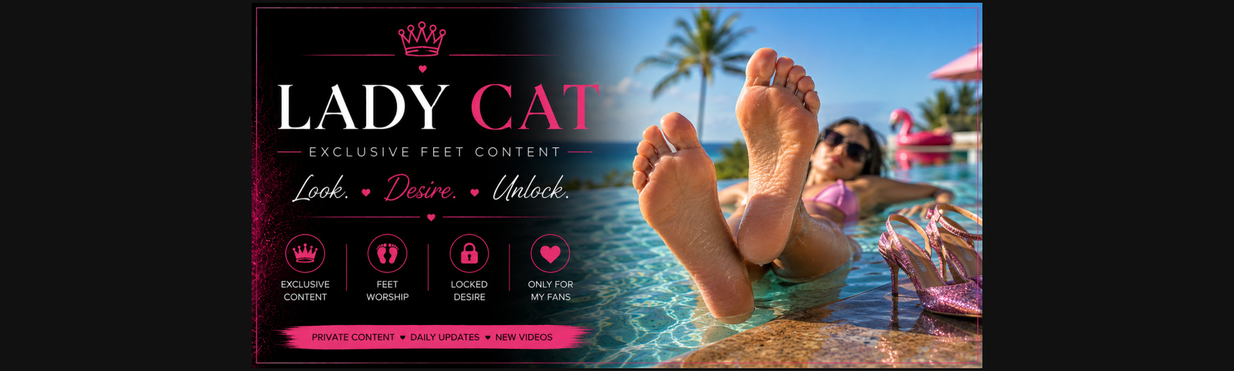 Ladycat cover